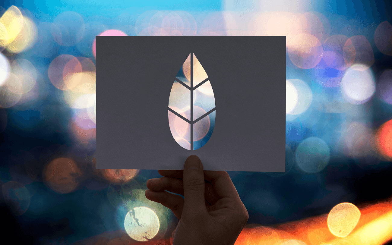 Sustainability Spotlight: Exploring Solutions for a Greener Future