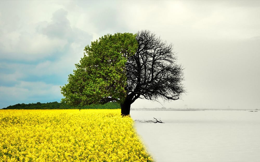 Climate Change Explained Simply: What Everyone Should Know